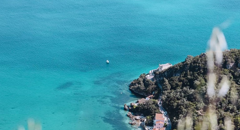 Picture for Arrábida & Sesimbra Day Trip: Wine Tasting, Nature & Beaches