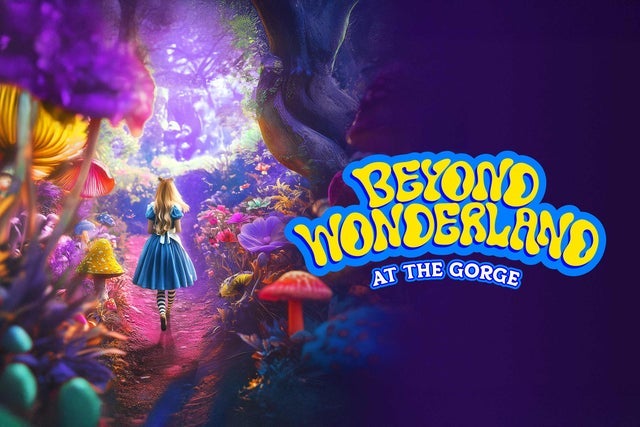 Picture for Beyond Wonderland at the Gorge