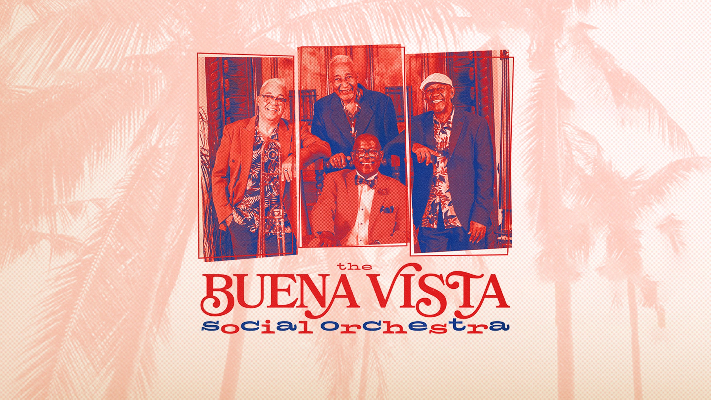 Picture for Buena Vista Orchestra