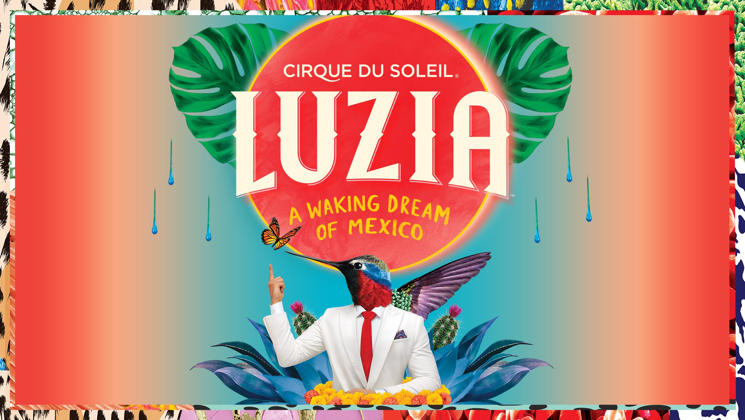 Picture for Cirque du Soleil: Luzia