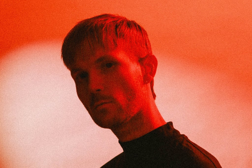 Изображение для David Bay