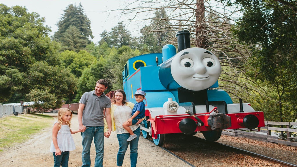 Picture for Day Out With Thomas (TM)