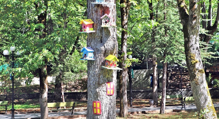 תמונה עבור טיול יום סביב בורג'ומי