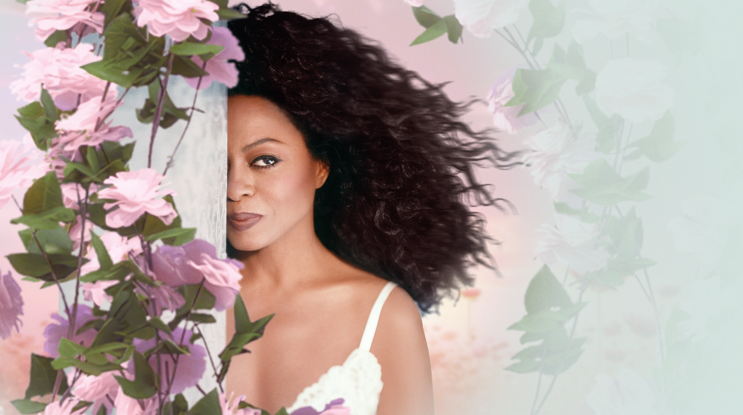 תמונה עבור Diana Ross - In Motion Tour