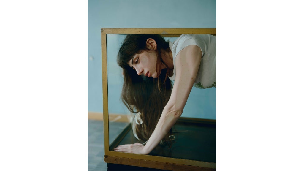 תמונה עבור dodie