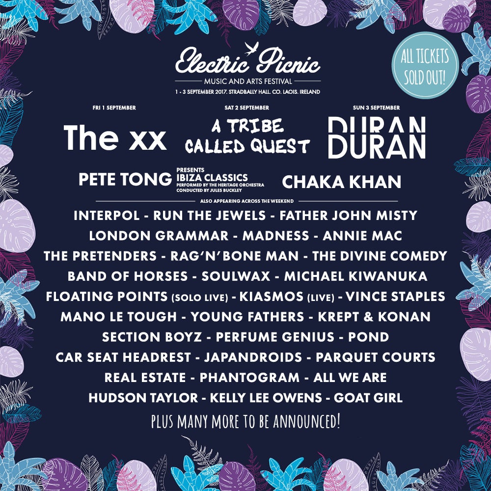 תמונה עבור Electric Picnic - Early Entry Pass (Event Ticket Not Included)