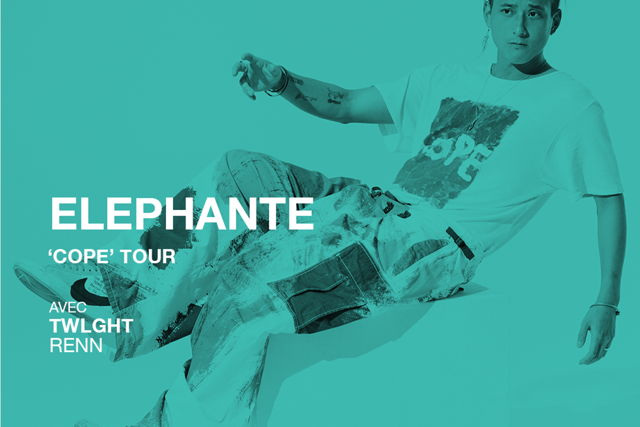 תמונה עבור ELEPHANTE "COPE TOUR"