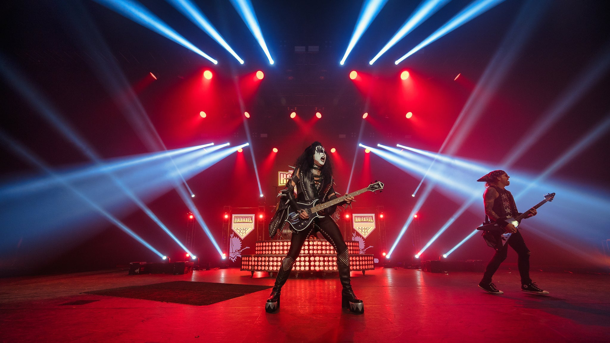 Picture for Hairball