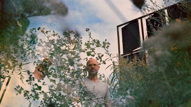 Изображение для Isbells | and the noise settles