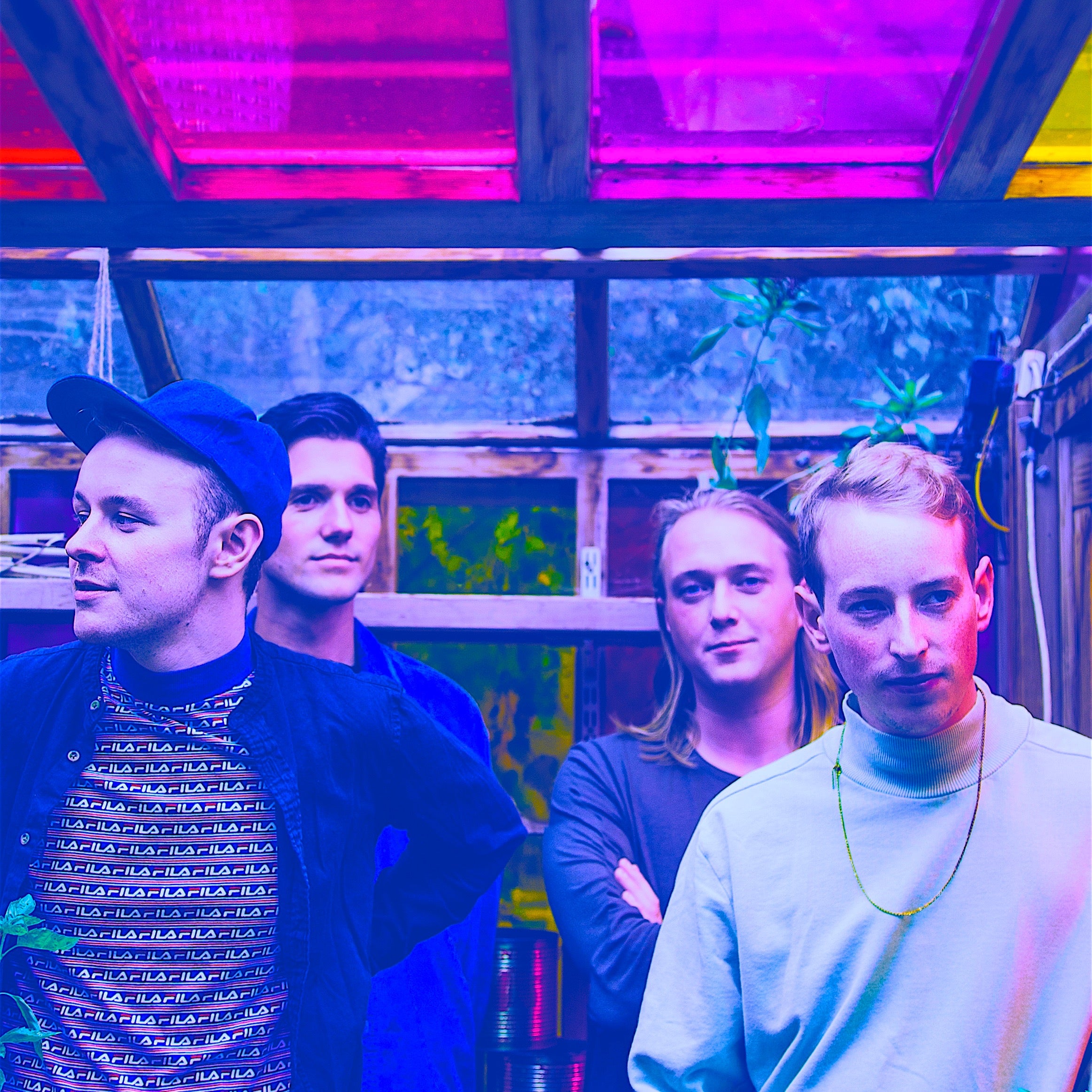 תמונה עבור Low Island - bird UK & EU Tour