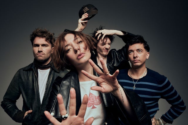 תמונה עבור Marmozets