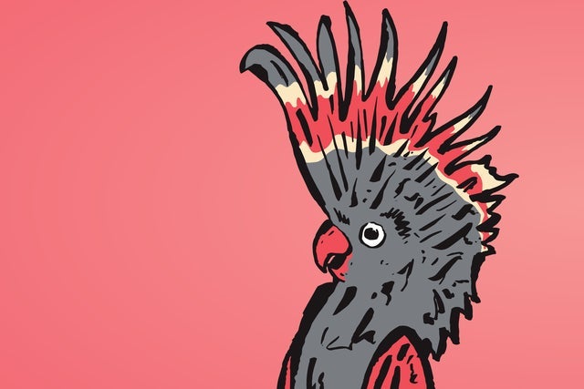 Picture for Melbourne International Comedy Festival Roadshow