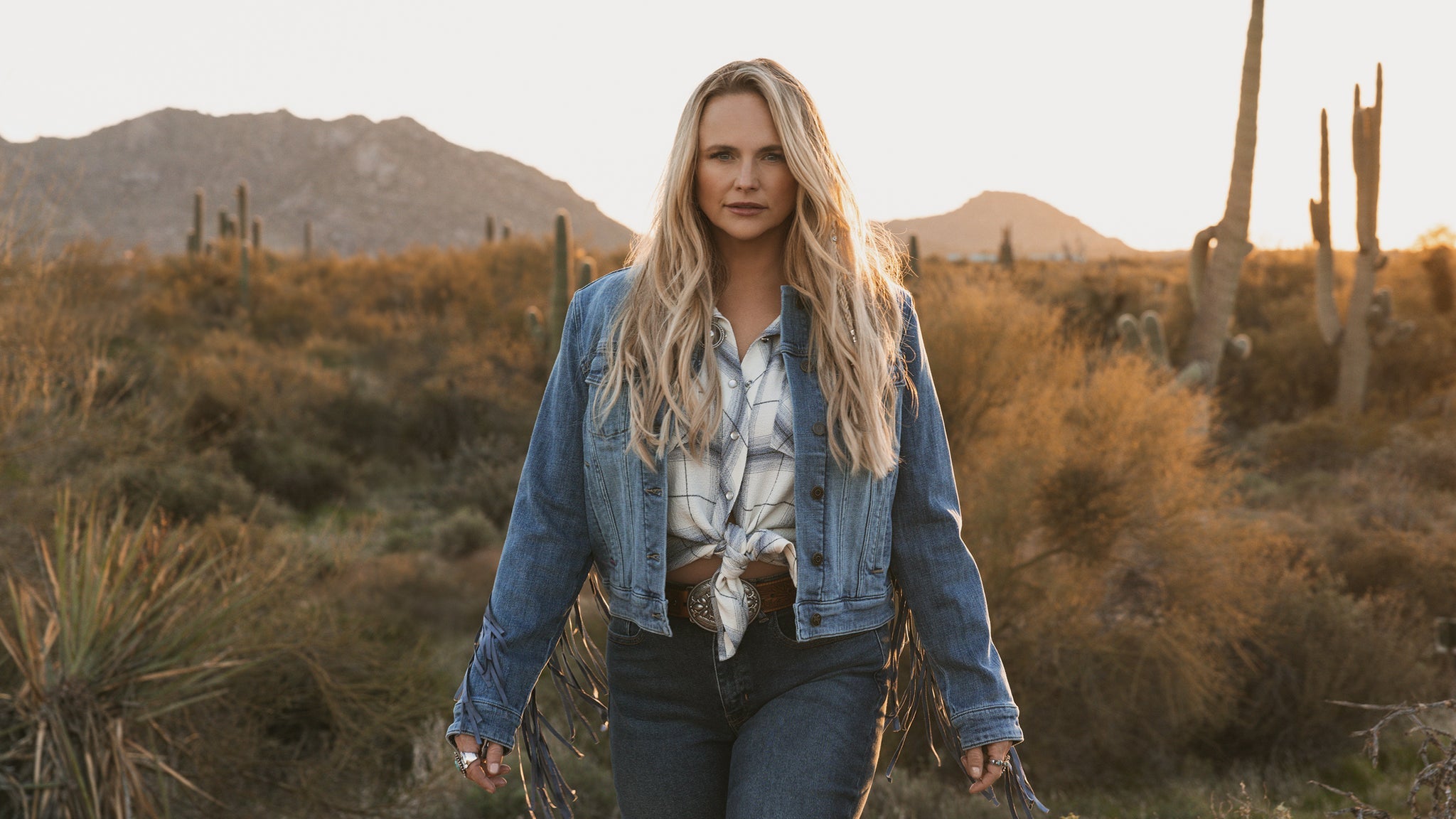 Picture for Miranda Lambert