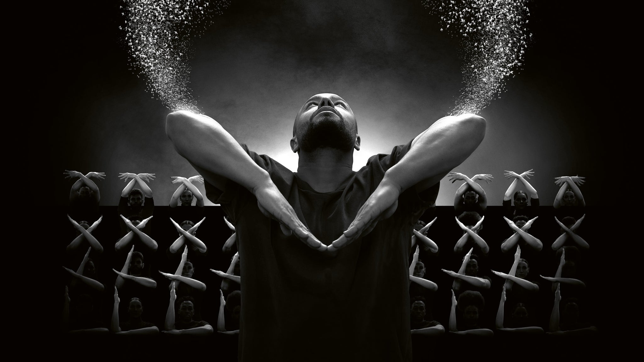 Picture for Murmuration
