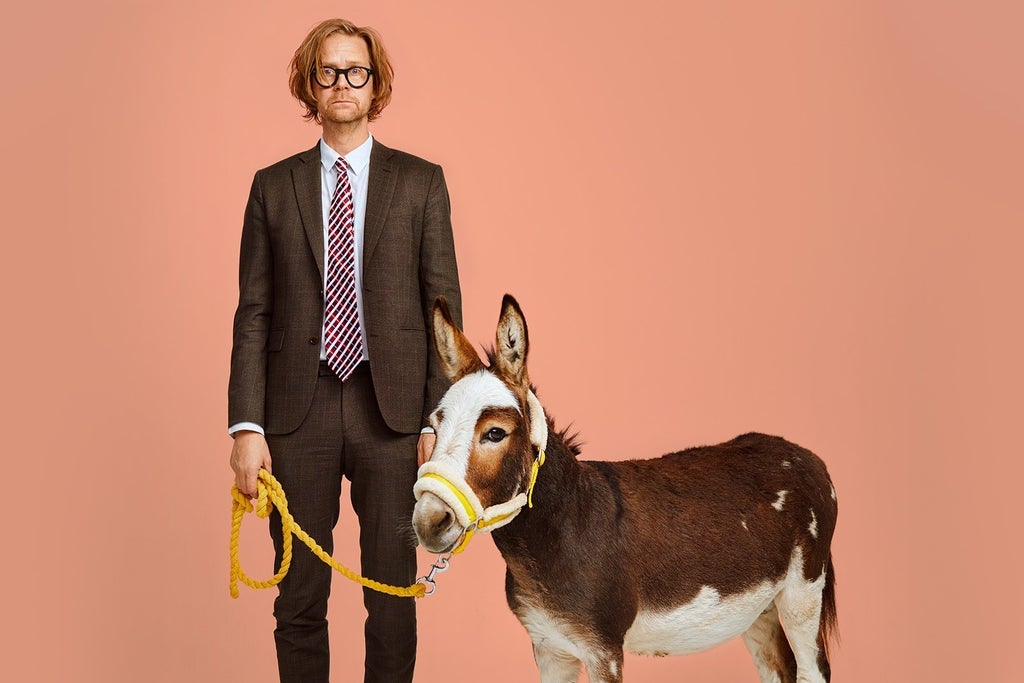 תמונה עבור Samma åsna men med ny sadel