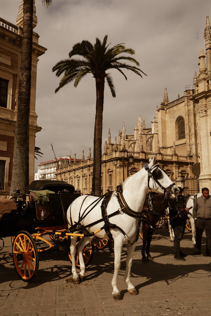 Seville