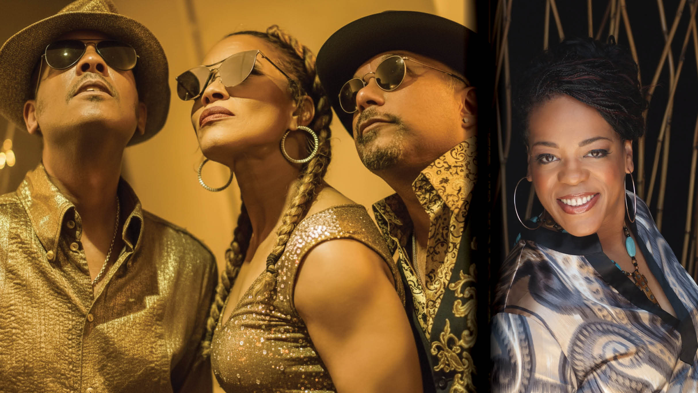 תמונה עבור Shalamar with Special Guest Evelyn "Champagne" King
