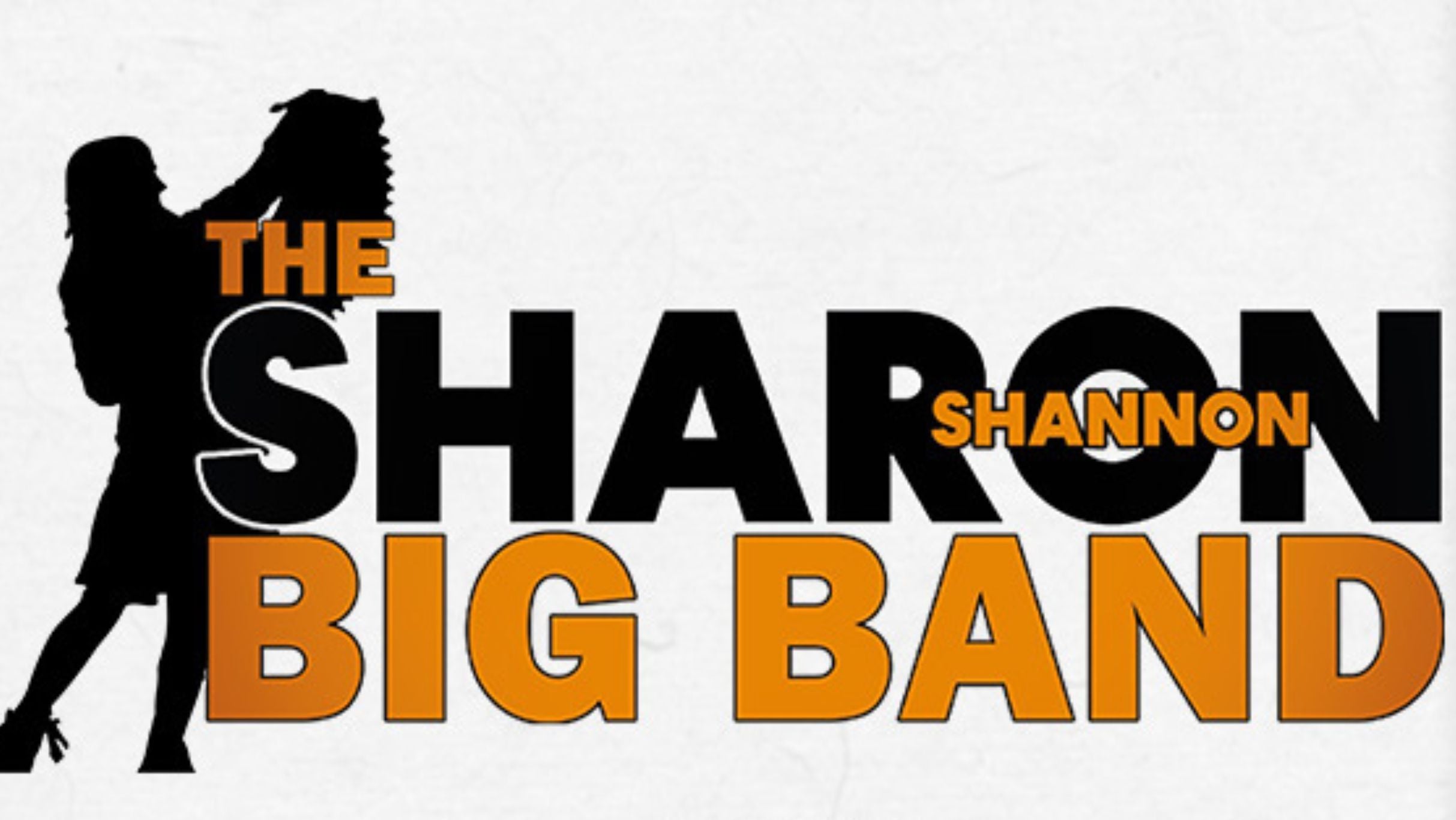 תמונה עבור Sharon Shannon Big Band - Sligo Live Festival