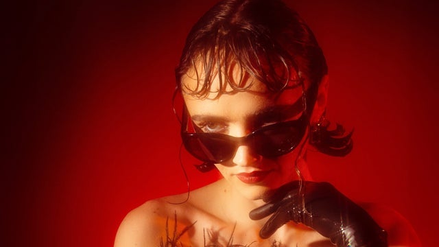 Picture for Sir Chloe with Venus & the Flytraps