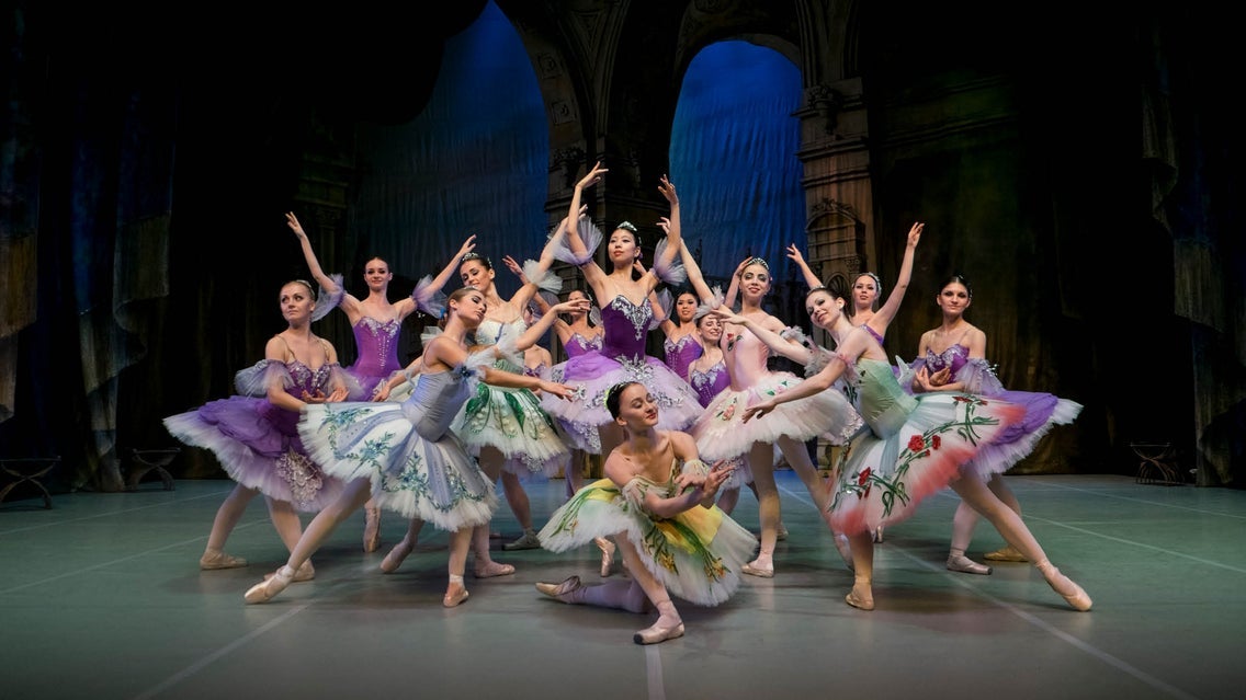 Изображение для Sleeping Beauty