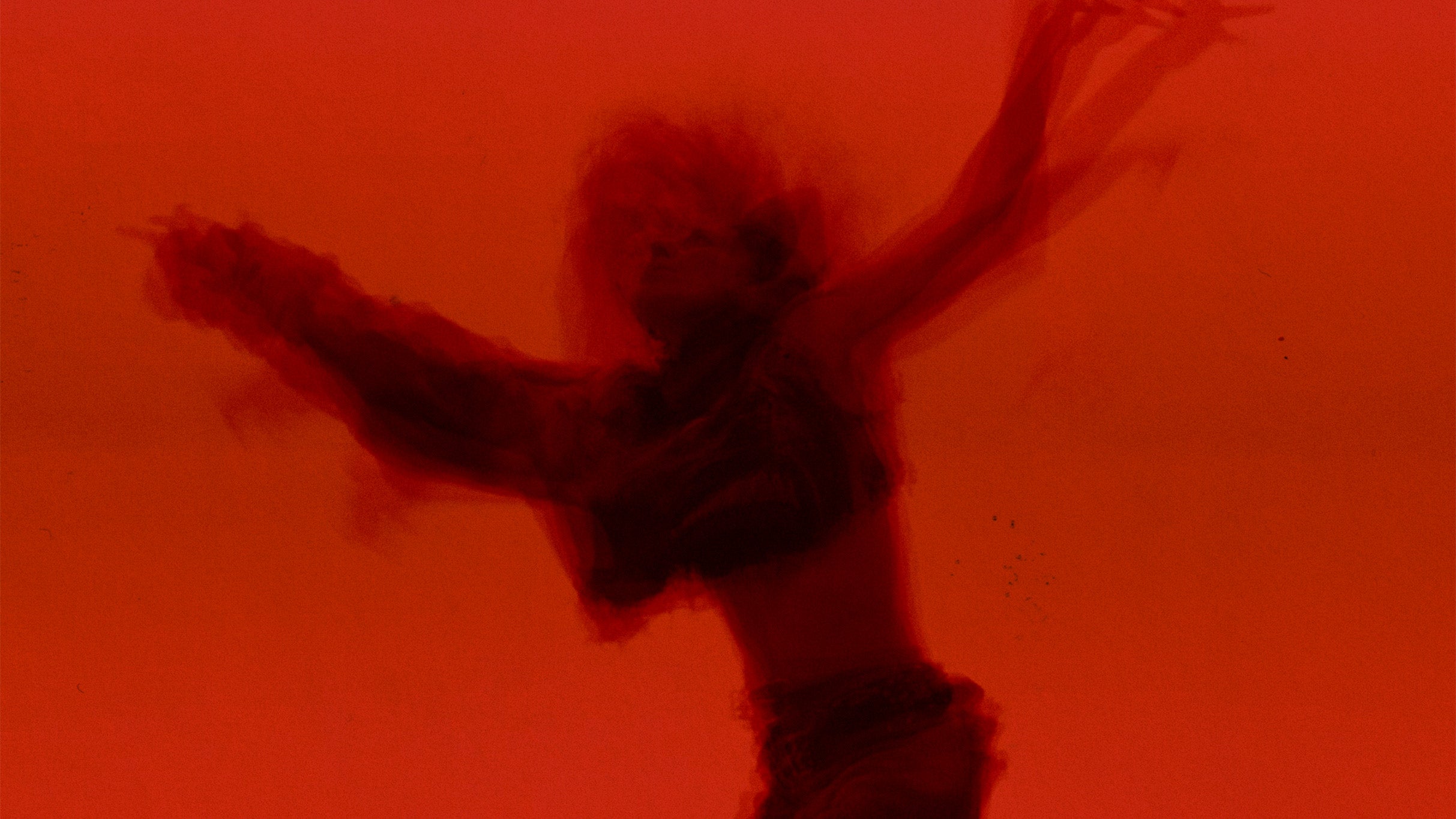 תמונה עבור Solomun | Pacha Icons