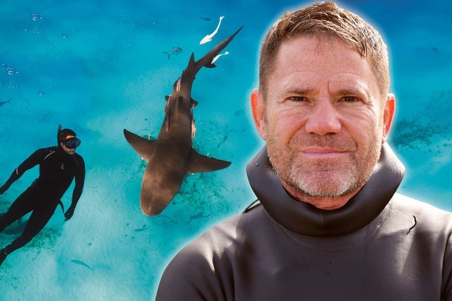 Picture for Steve Backshall - Ocean