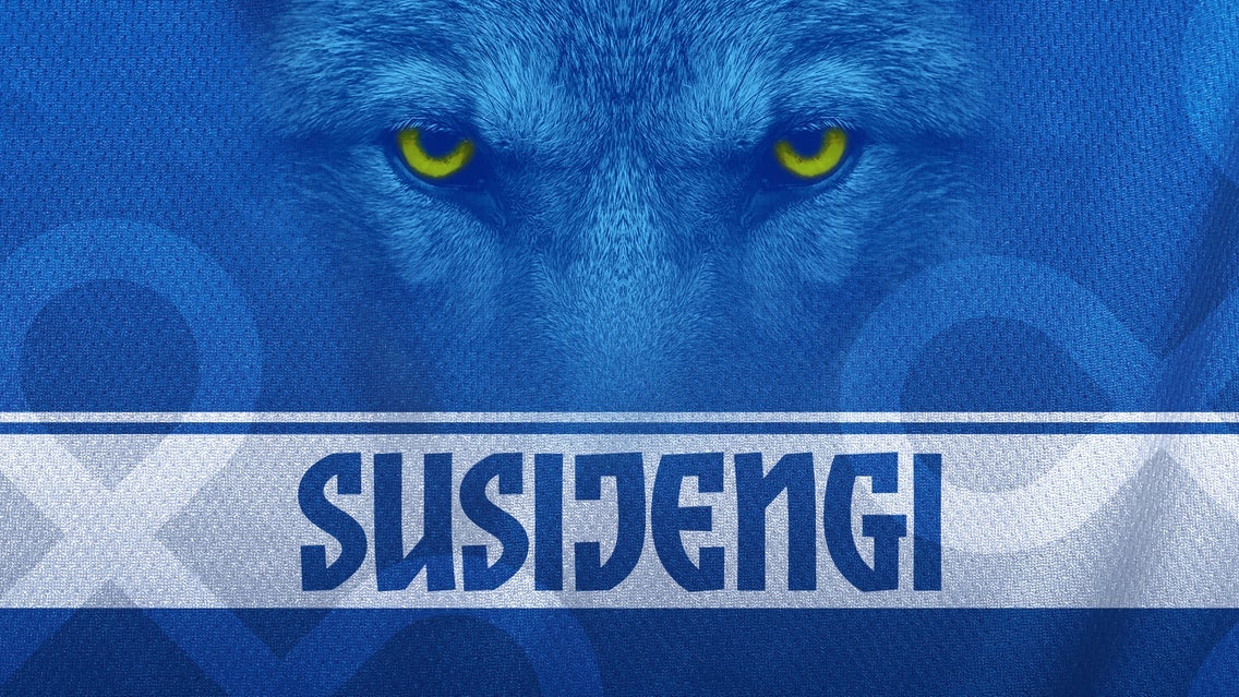 תמונה עבור  Susijengi – Unkari | Legazy Seat ticket