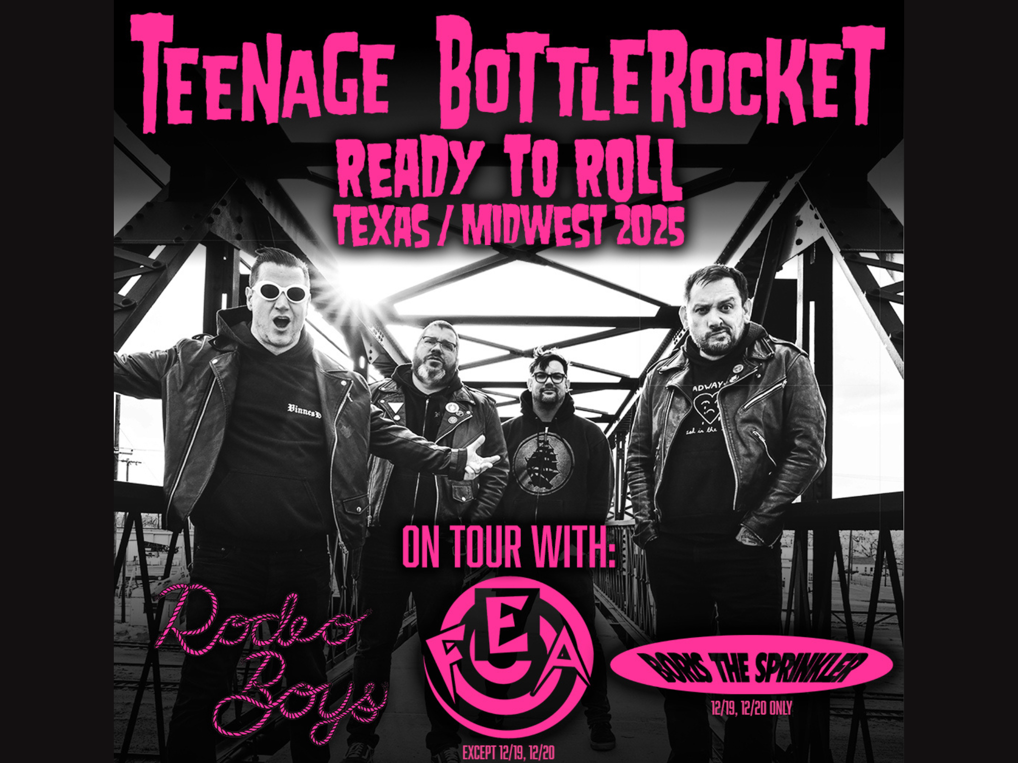 תמונה עבור Teenage Bottlerocket