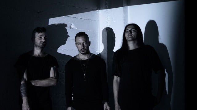 Picture for The Black Queen: Fever Daydream 10 Year Anniversary