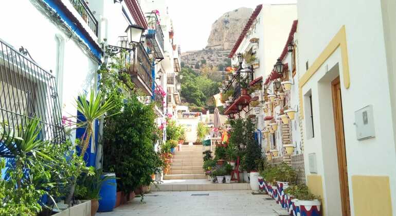 Picture for The Hidden Alicante Free Tour