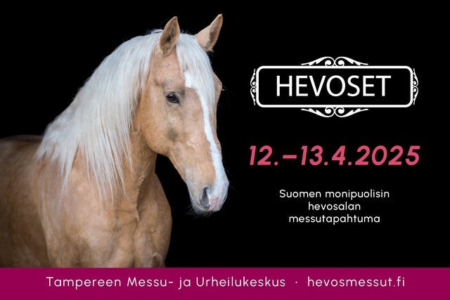Изображение для The Horses Fair - Sunday