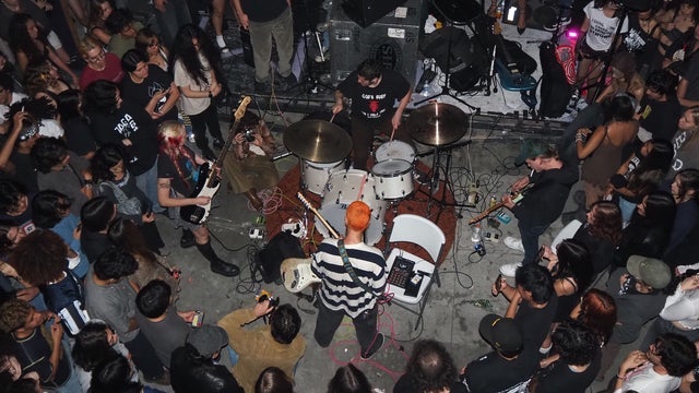 Picture for They Are Gutting a Body of Water