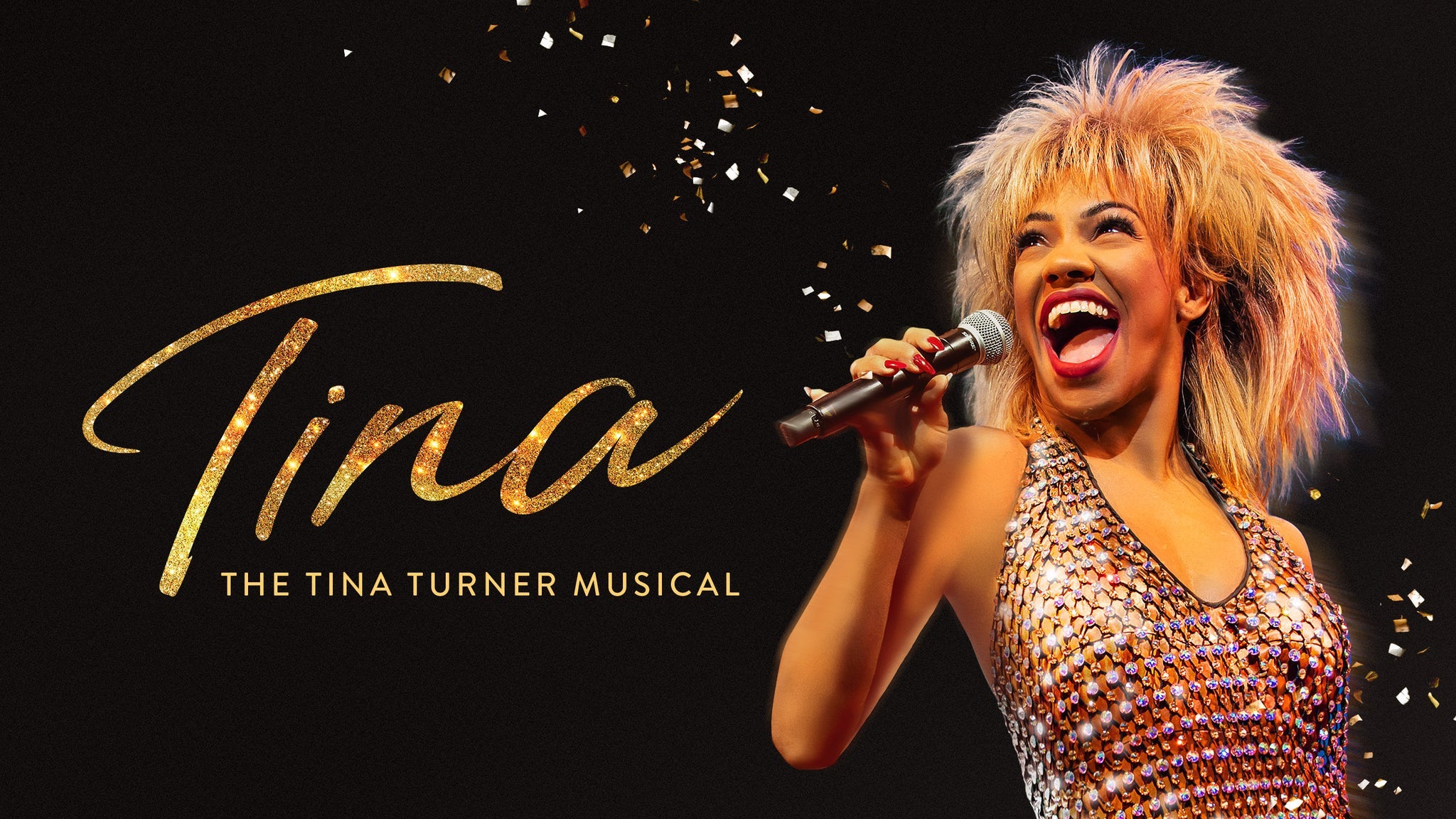Picture for TINA - The Tina Turner Musical