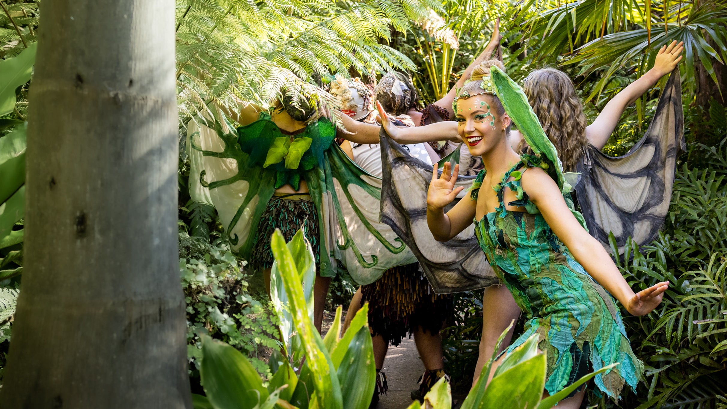 תמונה עבור Tinkerbell and the Dream Fairies