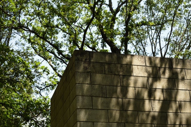 תמונה עבור Visita Collezione Arte Ambientale e Giardini Storici