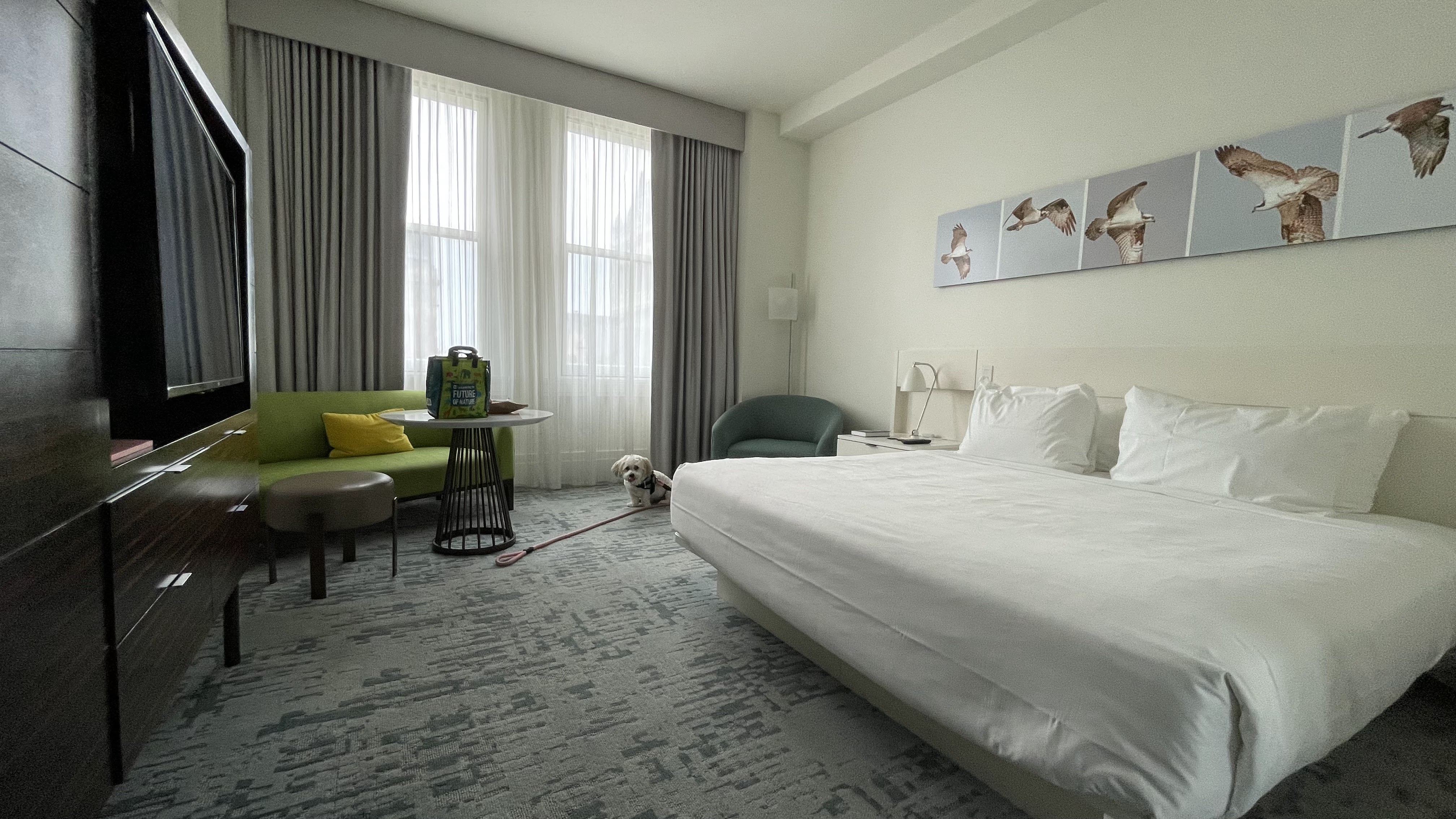 Picture for 21c Museum Hotel Lexington (Lexington, KY)