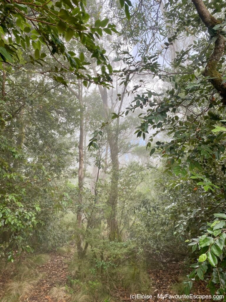 Barrington Tops National Park