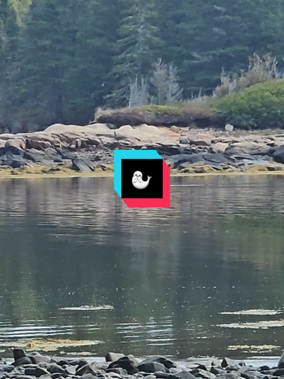 Acadia National Park