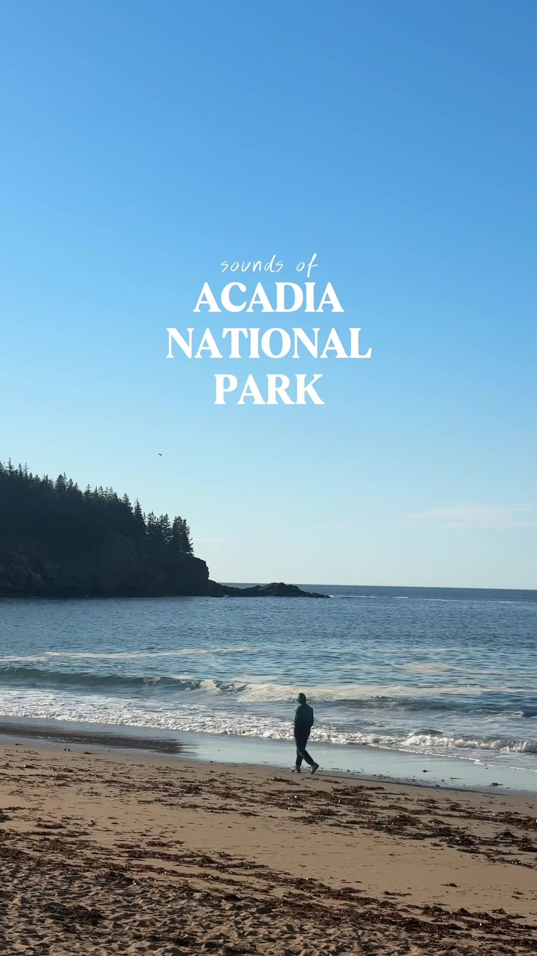Acadia National Park