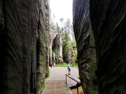 Adršpach-Teplice Rocks