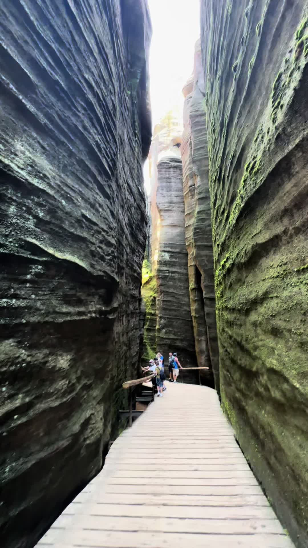 Adršpach-Teplice Rocks