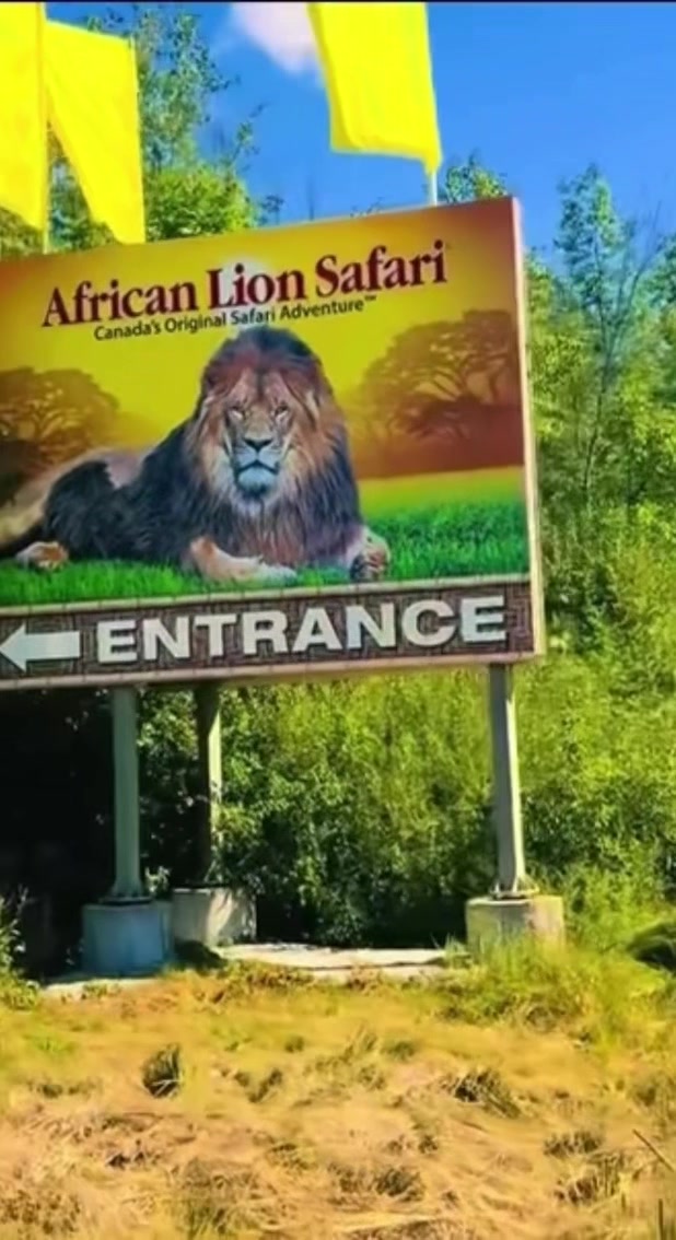 African Lion Safari