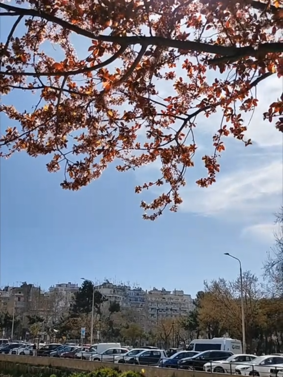Агора и Римский форум
