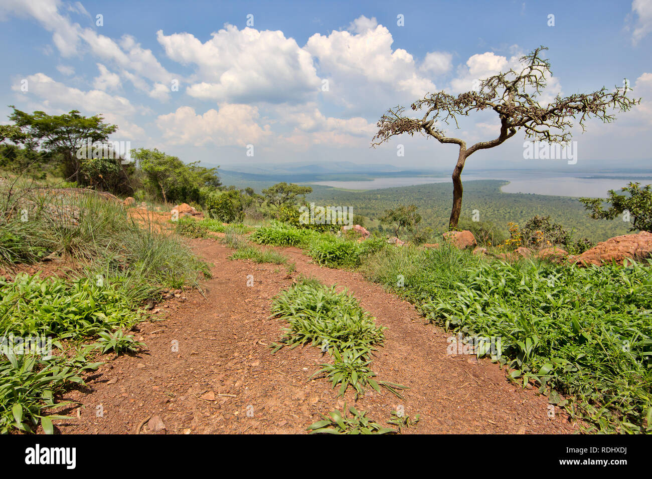 Akagera National Park