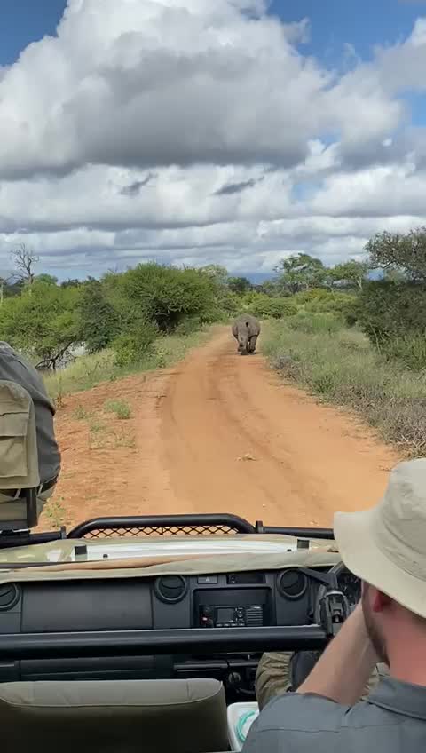 Akagera National Park