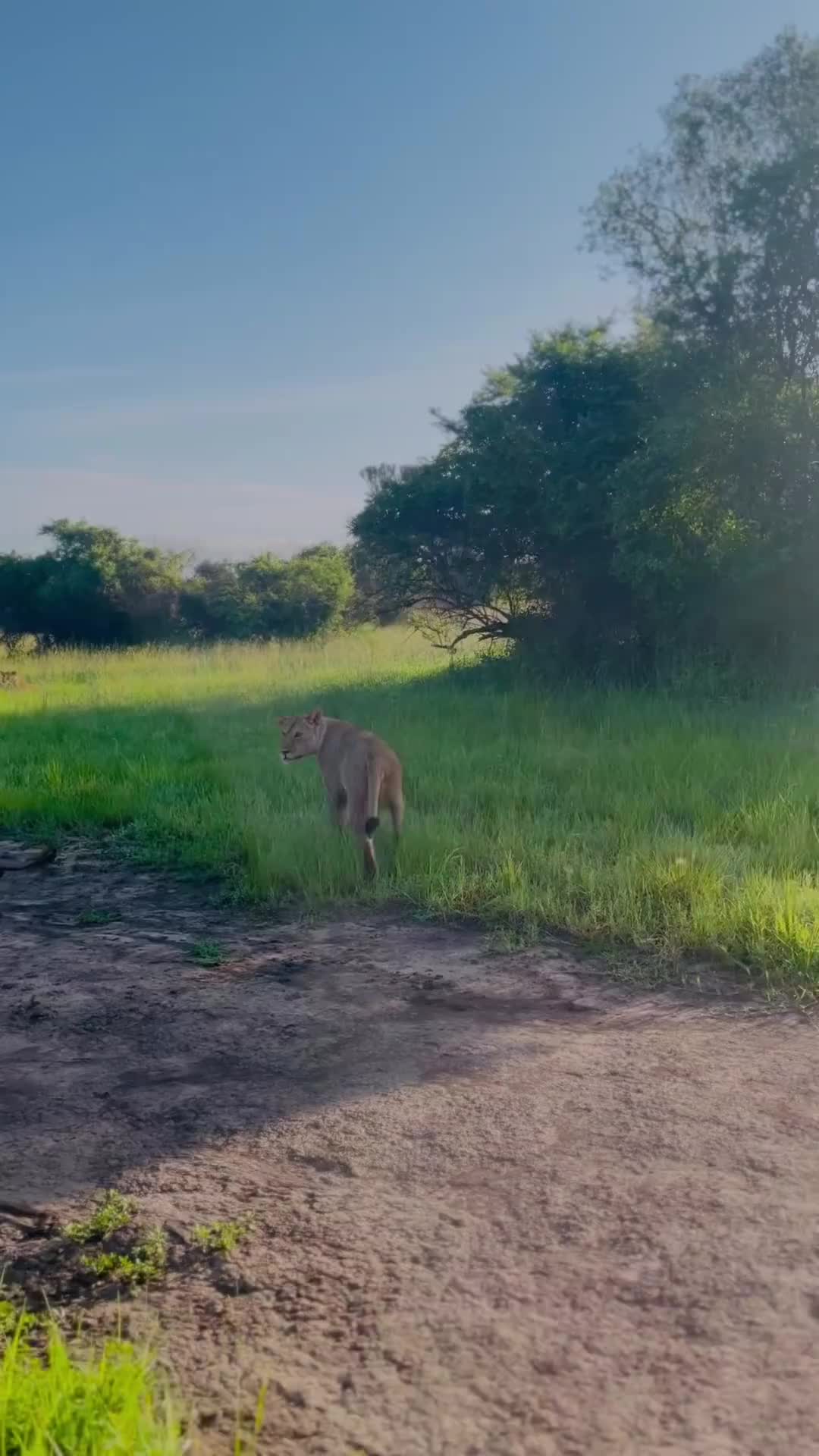 Akagera National Park