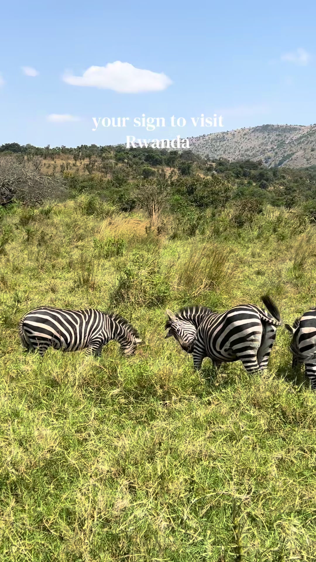 Akagera National Park
