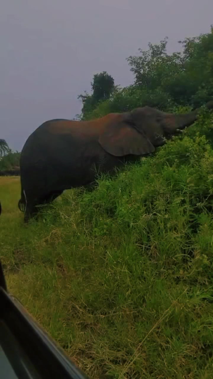 Akagera National Park