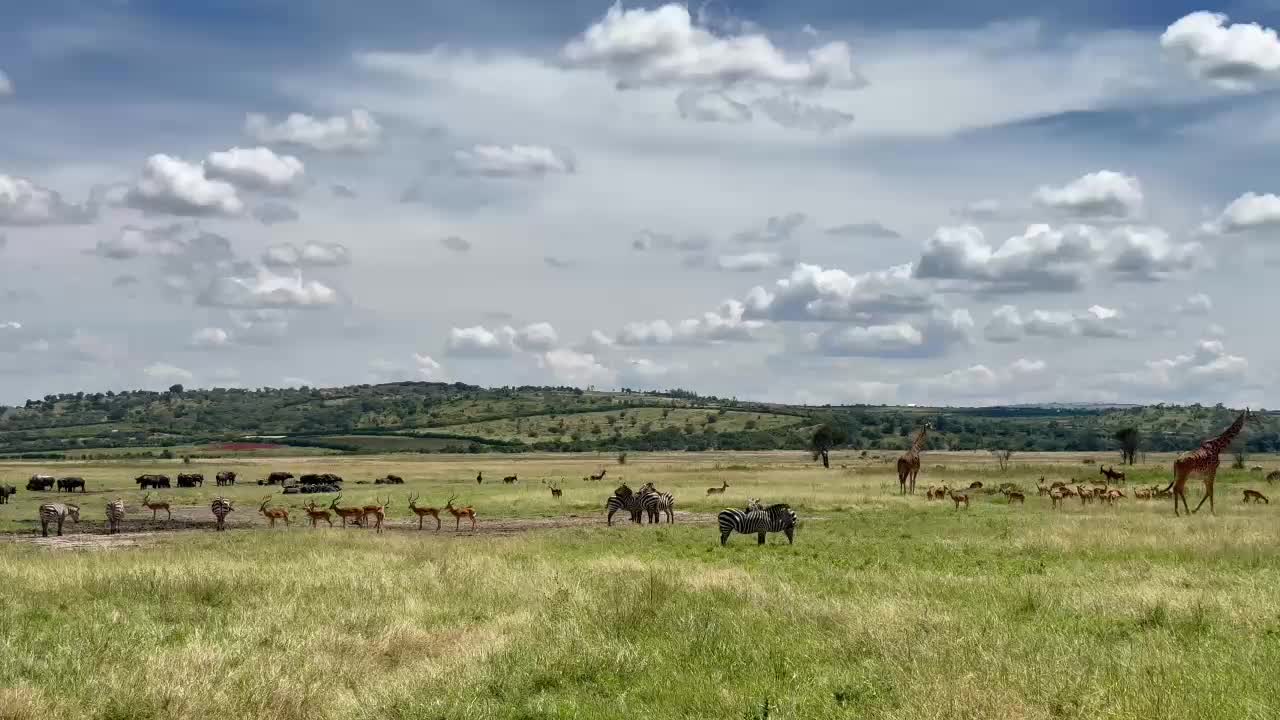 Akagera National Park