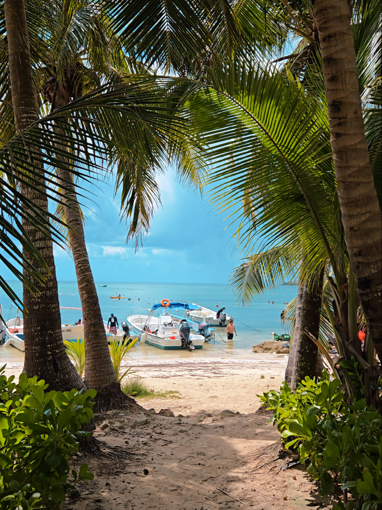 Akumal Beach